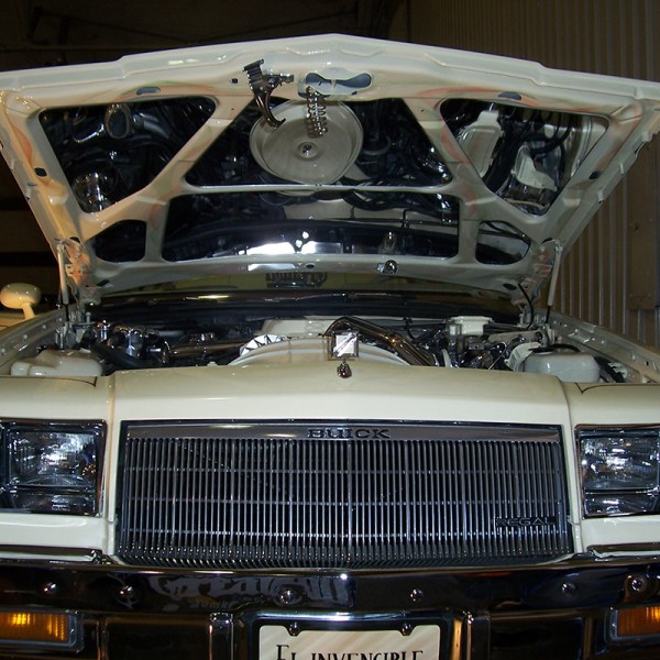 1981-87 BUICK REGAL HOOD